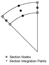 Section Cell Model