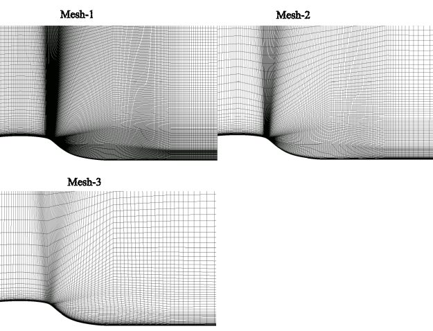 Computational meshes for the Hump flow.