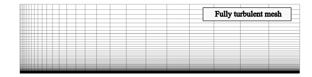 Computational meshes for the fully turbulent (upper) and transitional (lower) boundary layer.