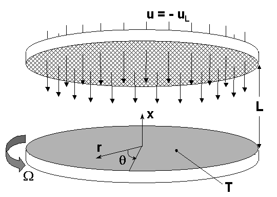 Sketch of the infinite-radius disk and inlet boundary conditions