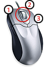 Mouse with center scroll wheel