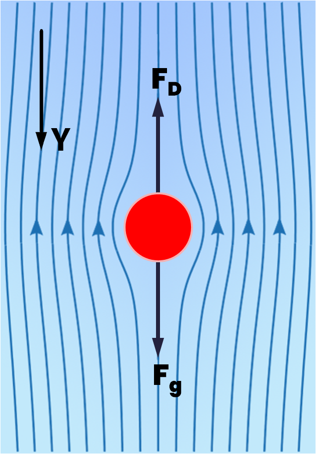 Particle falling under gravitational and drag forces.