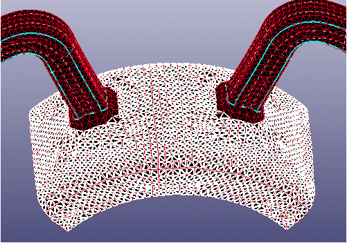 Selected Mesh