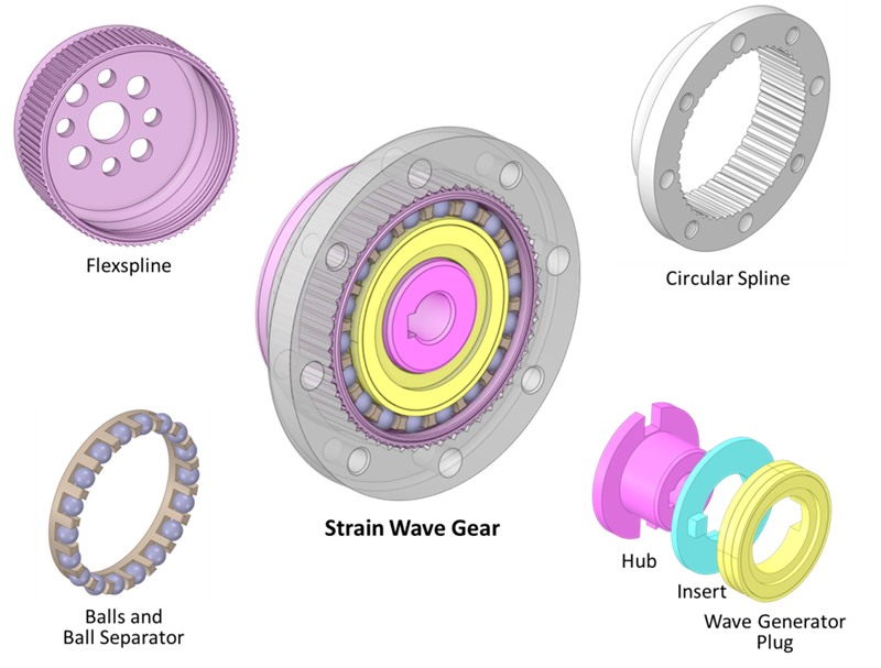 Components of a Strain Wave Gear