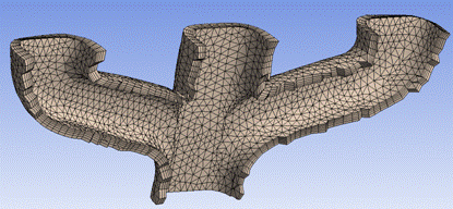Section Plane View of Previewed Inflation Mesh