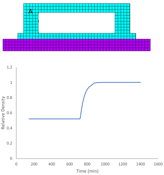 Relative Density of Element A Over Time