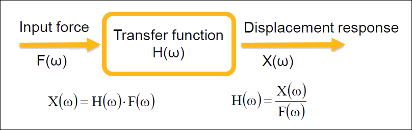 The frequency response functions are the transfer functions of a dynamic system.