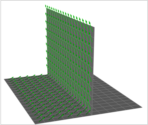 Visualization of the Fiber Direction