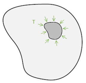 Replace the inclusion along with the applied surface forces: