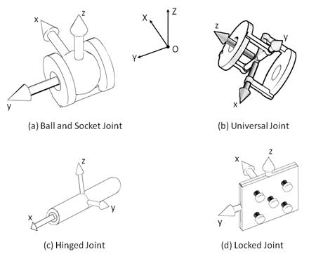 Local Articulation Axes
