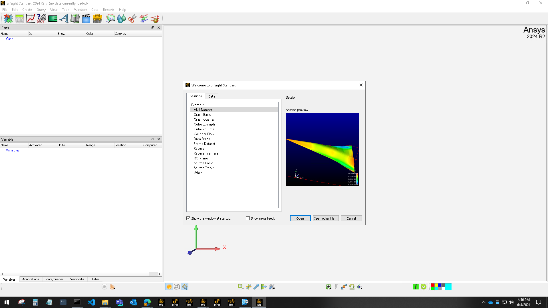 Opening Ansys EnSight