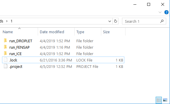 Directory Structure for a FENSAP-ICE Based Project in Workbench