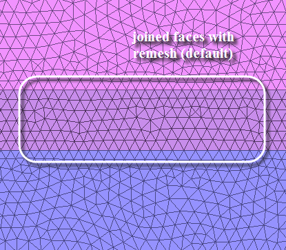 Remeshing of Joined Faces