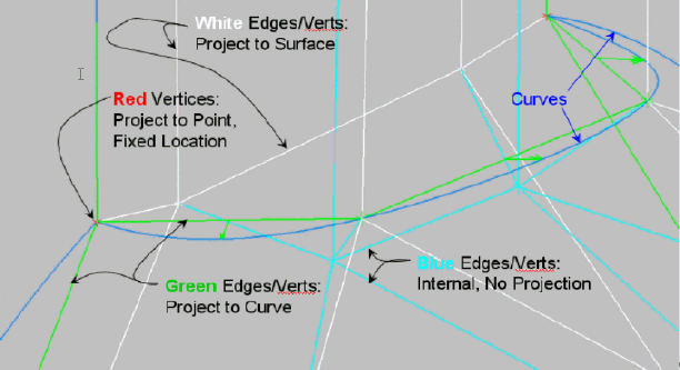 Different Types of Vertices and Edges