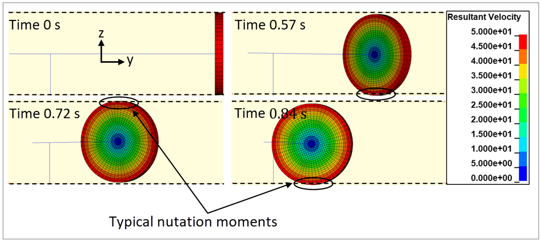 Typical nutation moments during the simulation