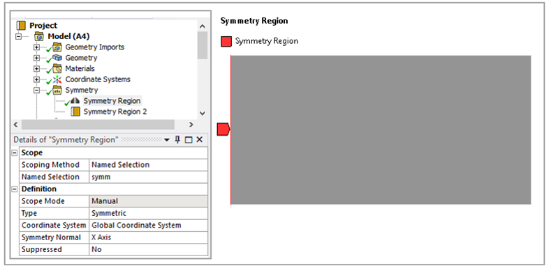 Symmetric Boundary Condition