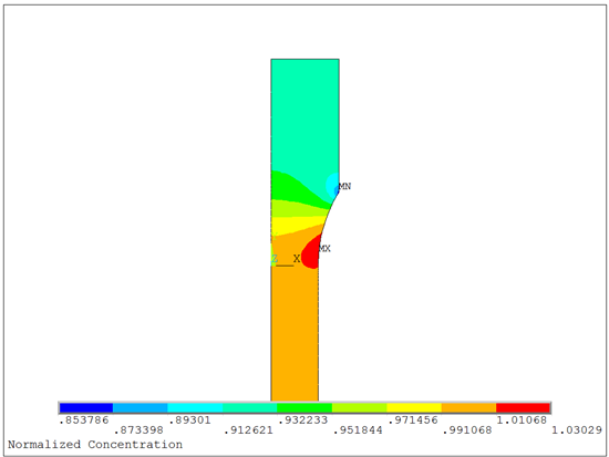 Normalized Concentration in the Tensile Test Specimen