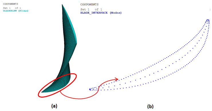 (a) Element Component of Fan Blade; (b) Blade Boundary Nodes at the Blade-to-Disk Interface