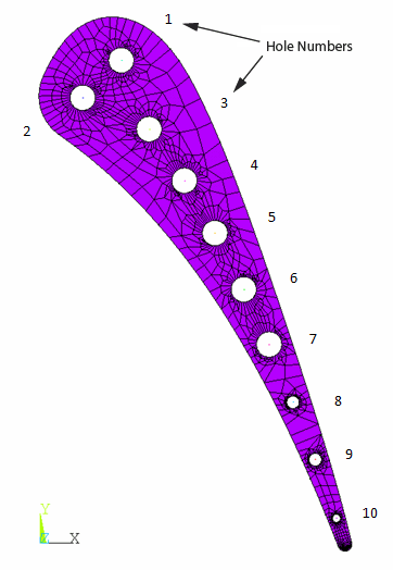 Solid Region Mesh
