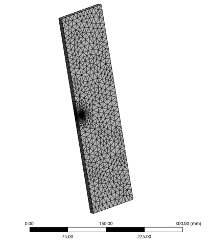 Half-specimen model meshed with tetrahedral elements