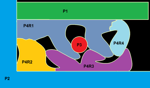 Understanding 2D Domains