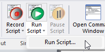 Run Script > Run Script
